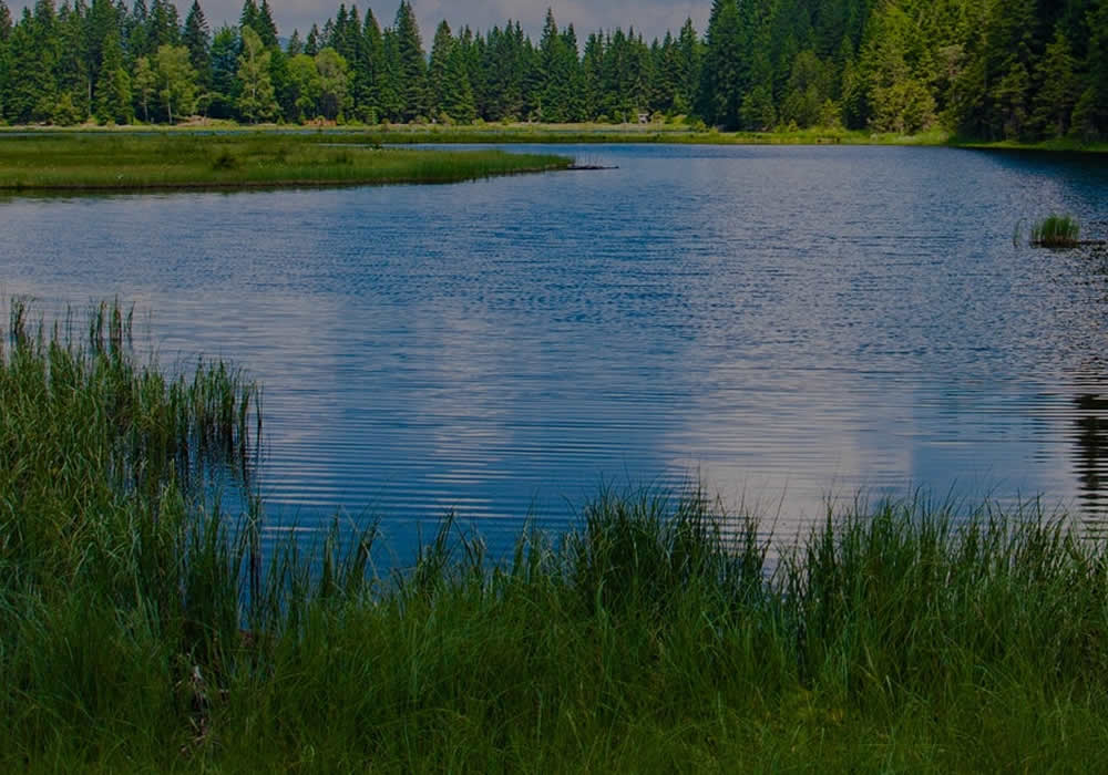About DBT Center of WI