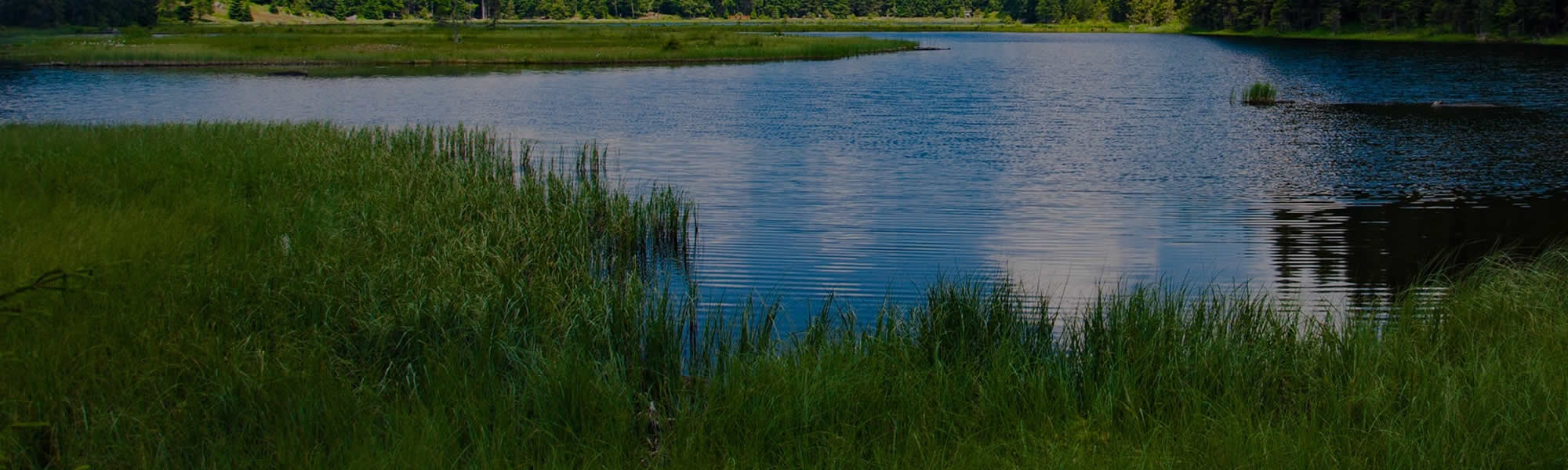 About DBT Center of Wisconsin