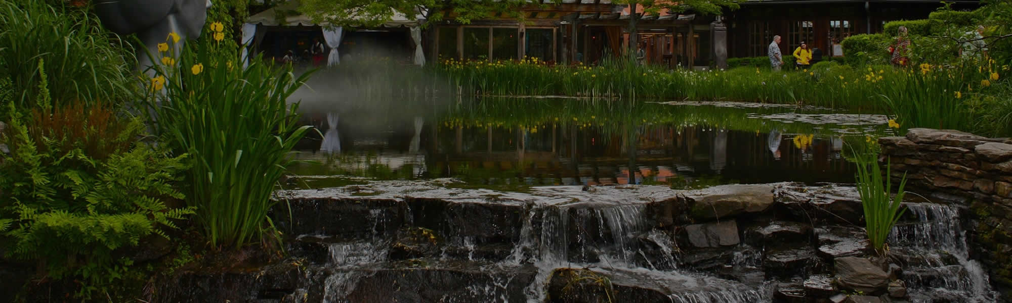 DBT Center of Wisconsin
